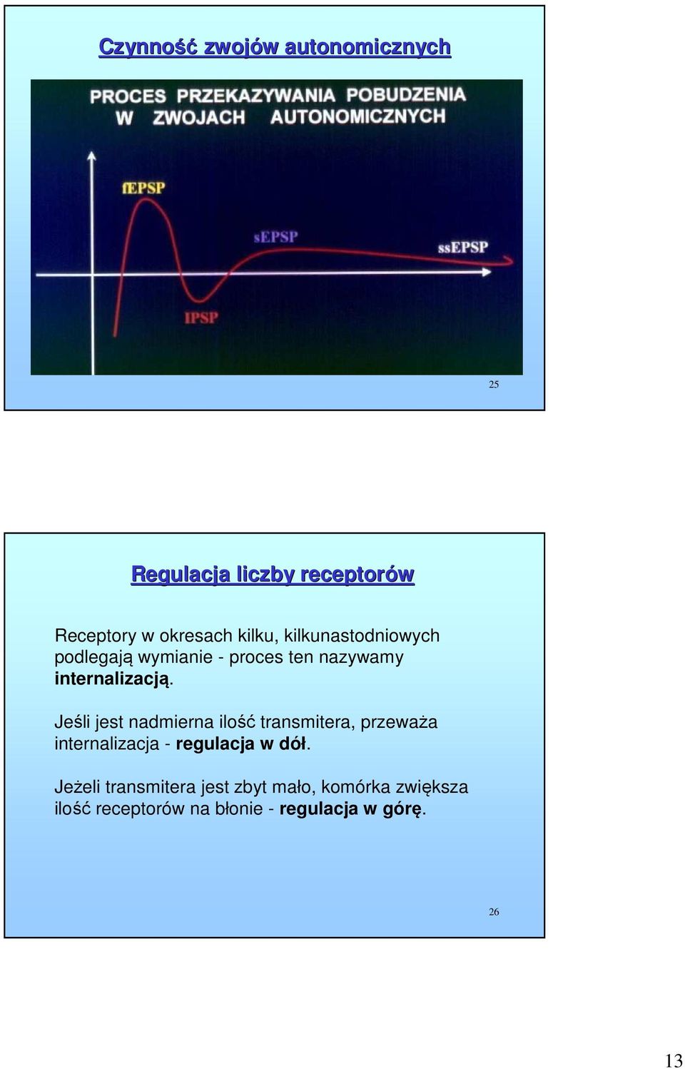 Jeśli jest nadmierna ilość transmitera, przeważa internalizacja - regulacja w dół.