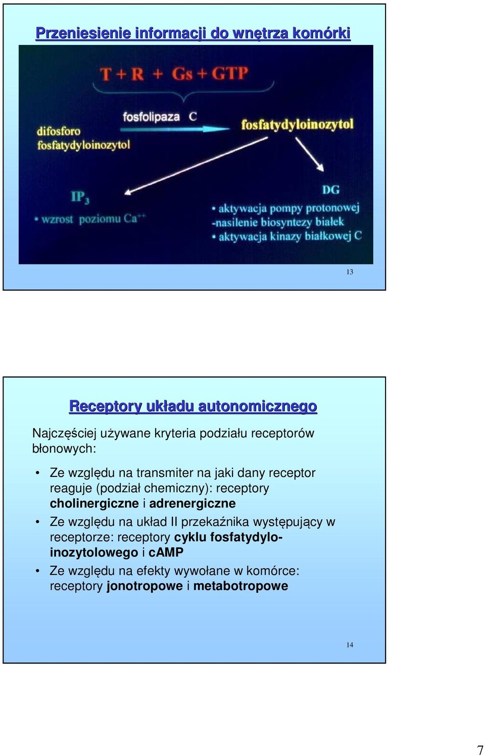 receptory cholinergiczne i adrenergiczne Ze względu na układ II przekaźnika występujący w receptorze: receptory