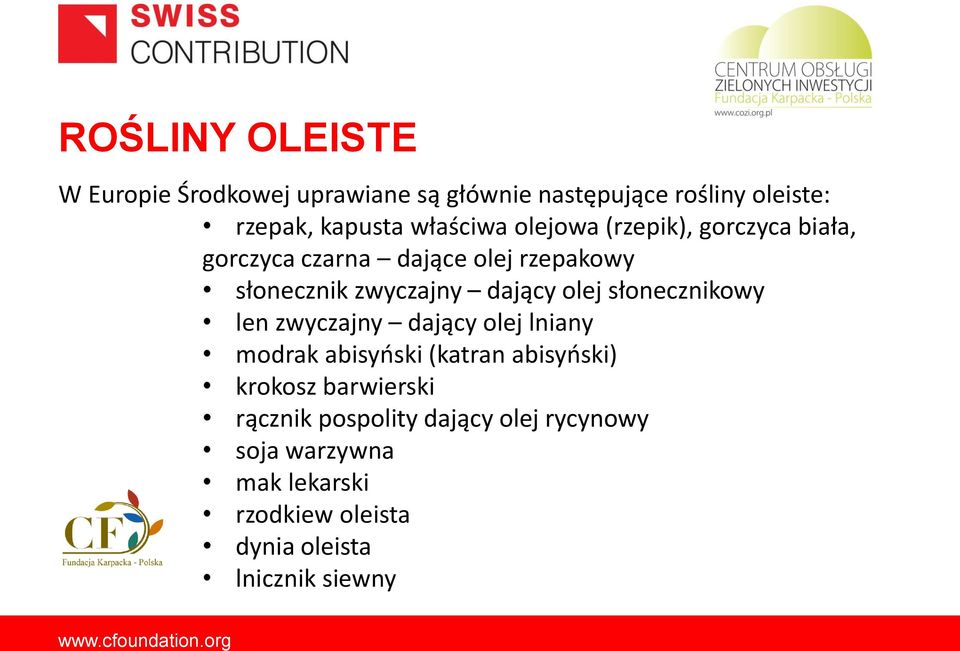 dający olej słonecznikowy len zwyczajny dający olej lniany modrak abisyński (katran abisyński) krokosz