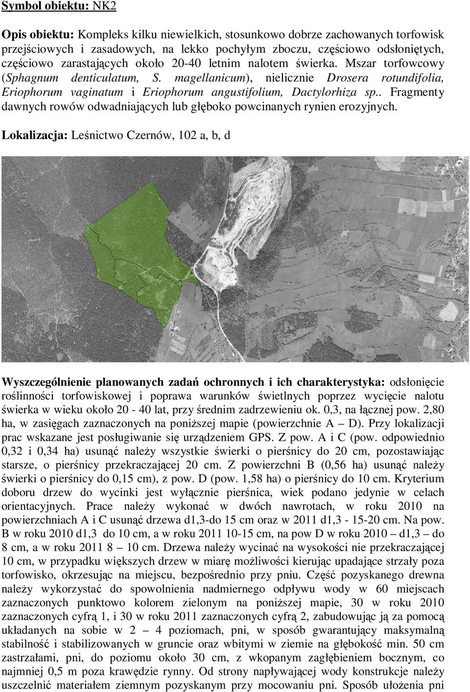 magellanicum), nielicznie Drosera rotundifolia, Eriophorum vaginatum i Eriophorum angustifolium, Dactylorhiza sp.. Fragmenty dawnych rowów odwadniających lub głęboko powcinanych rynien erozyjnych.