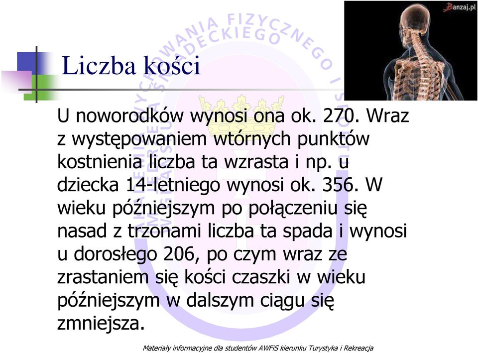 u dziecka 14-letniego wynosi ok. 356.