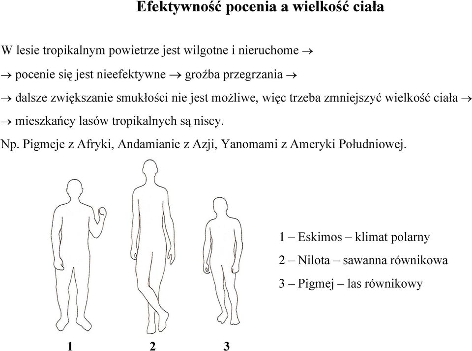 zmniejszyć wielkość ciała mieszkańcy lasów tropikalnych są niscy. Np.