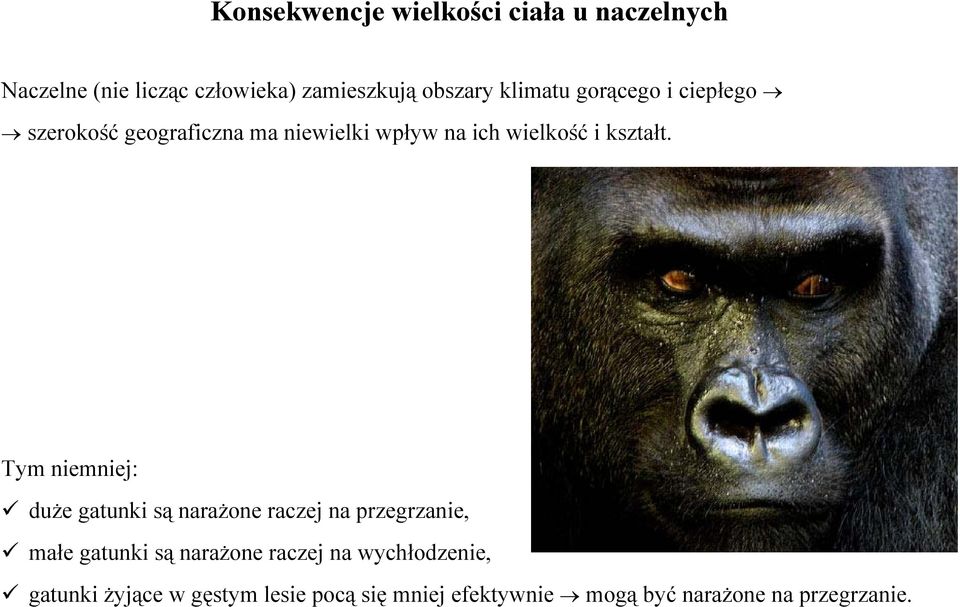 Tym niemniej: duże gatunki są narażone raczej na przegrzanie, małe gatunki są narażone raczej na