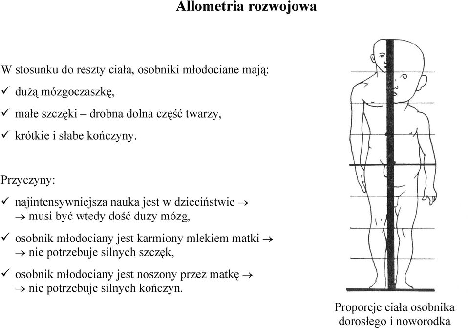 Przyczyny: najintensywniejsza nauka jest w dzieciństwie musi być wtedy dość duży mózg, osobnik młodociany jest