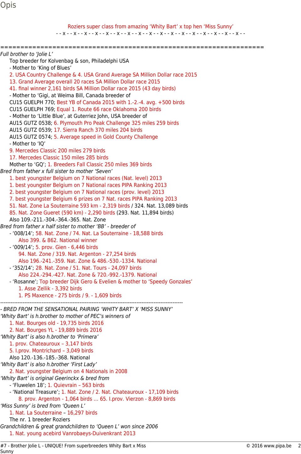 USA Grand Average SA Million Dollar race 2015 13. Grand Average overall 20 races SA Million Dollar race 2015 41.