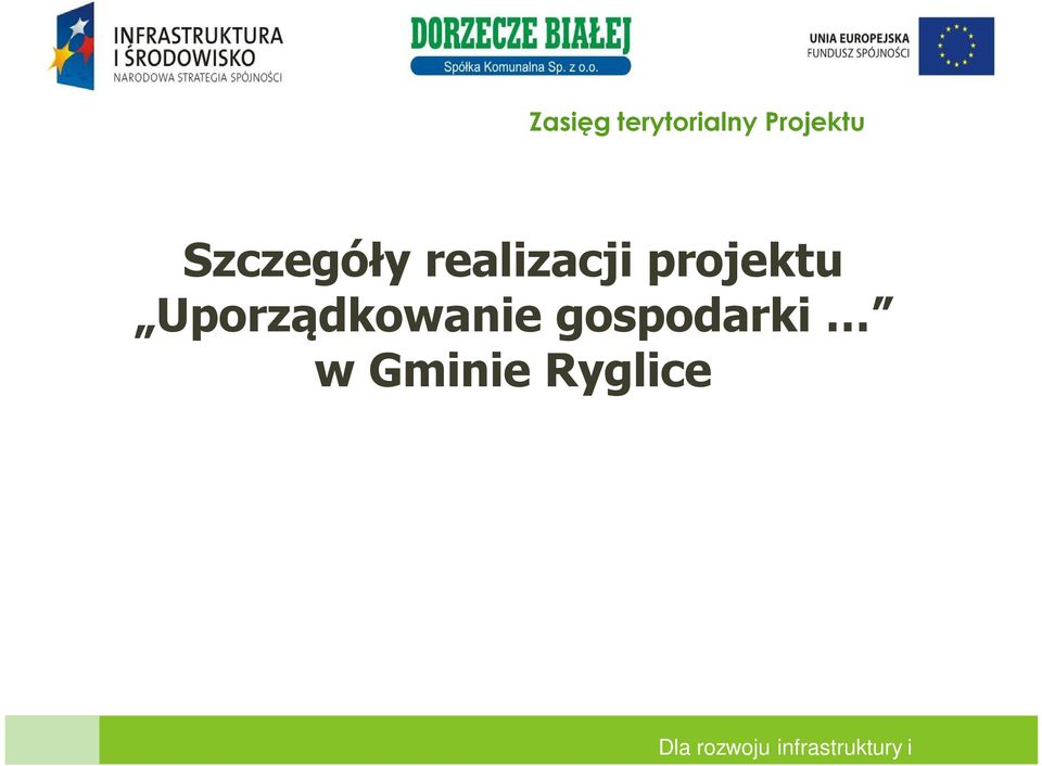 realizacji projektu