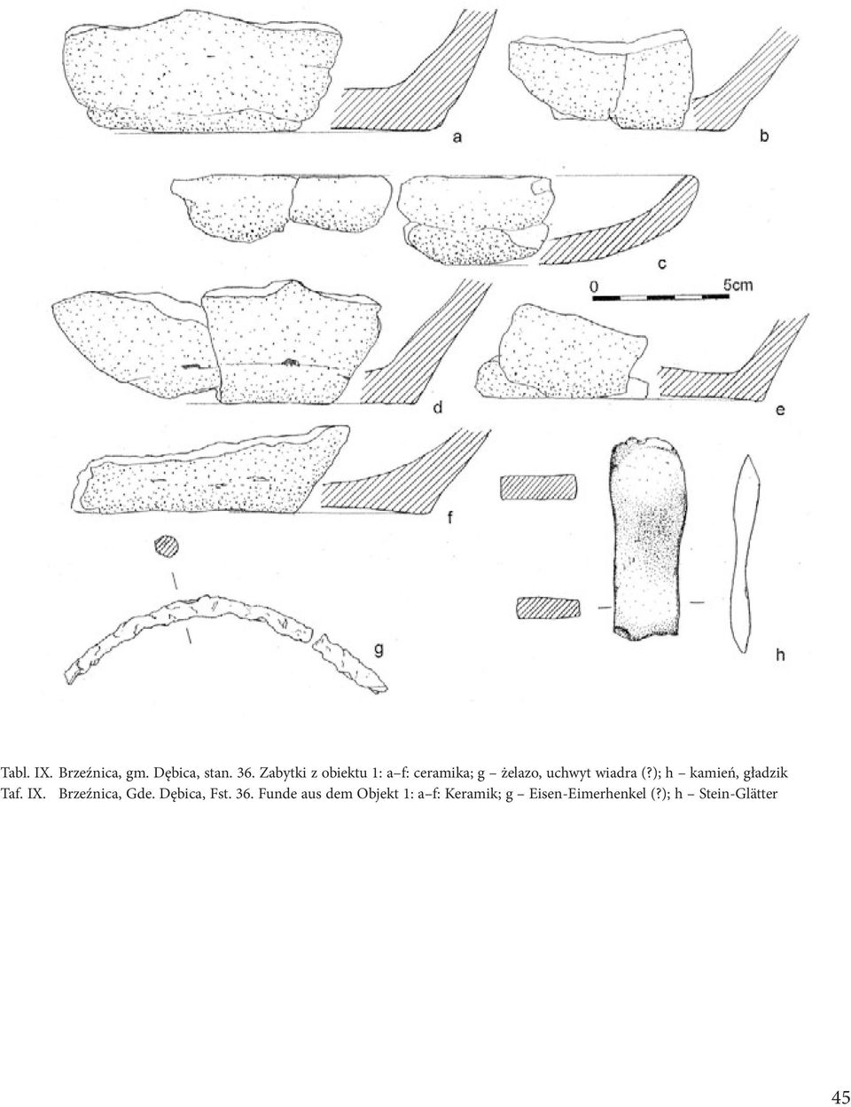 ); h kamień, gładzik Taf. IX. Brzeźnica, Gde. Dębica, Fst. 36.