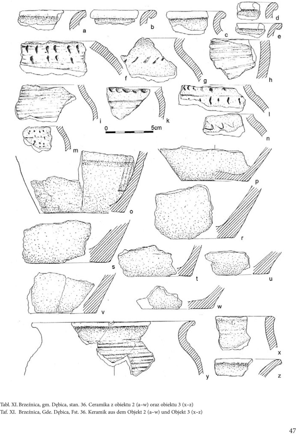 z) Taf. XI. Brzeźnica, Gde. Dębica, Fst. 36.