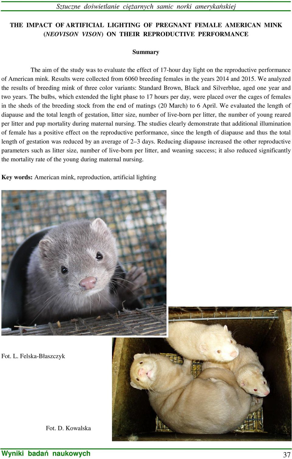 We analyzed the results of breeding mink of three color variants: Standard Brown, Black and Silverblue, aged one year and two years.