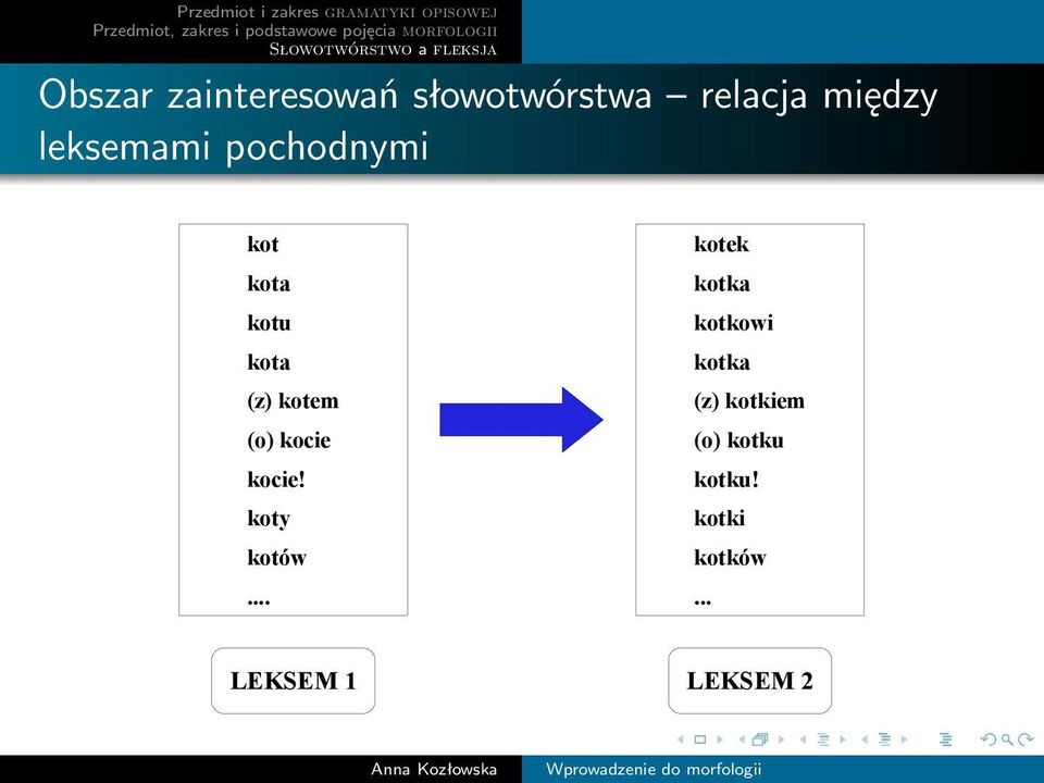 kota kotka (z) kotem (z) kotkiem (o) kocie (o) kotku