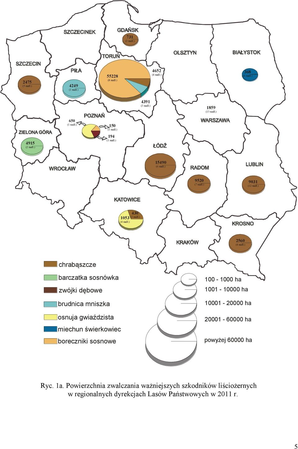 ) chrabąszcze barczatka sosnówka zwójki dębowe brudnica mniszka osnuja gwiaździsta miechun świerkowiec boreczniki sosnowe 100-1000 ha 1001-10000