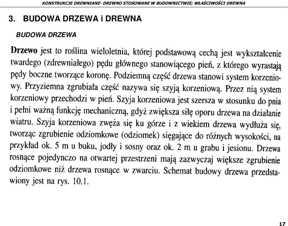 DRZEWA i