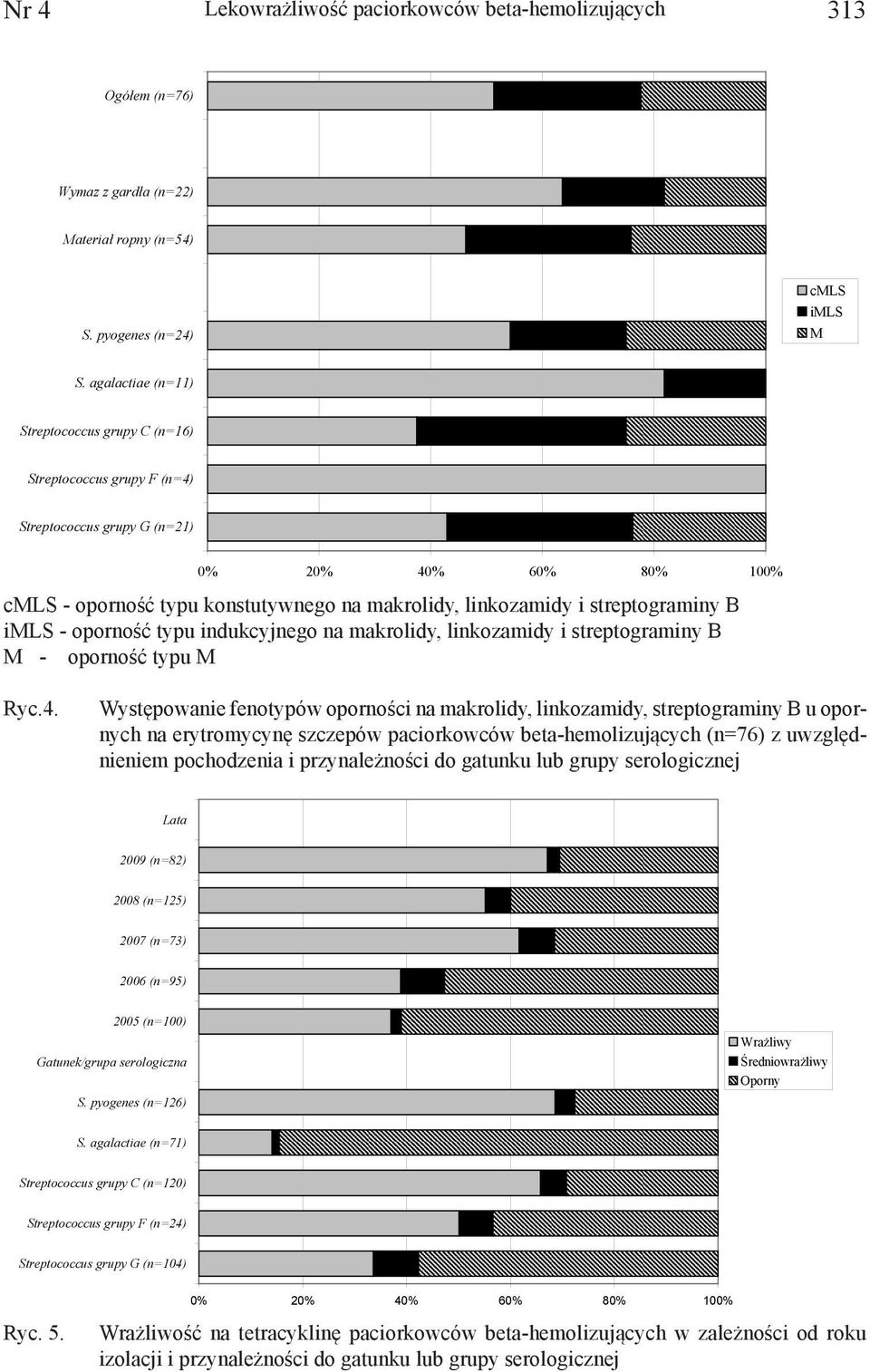 streptograminy B imls - oporność typu indukcyjnego na makrolidy, linkozamidy i streptograminy B M - oporność typu M Ryc.4.