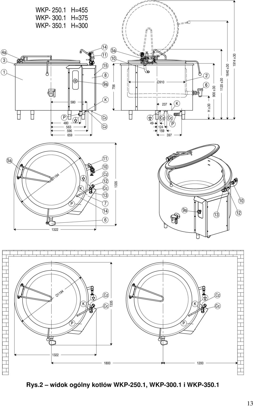 1640 ±30 1914 ±30 P 480 563 596 659 Cc Cz 49 124 397 P 5a 11 10 O1194 Cz 12 Cc 13 7