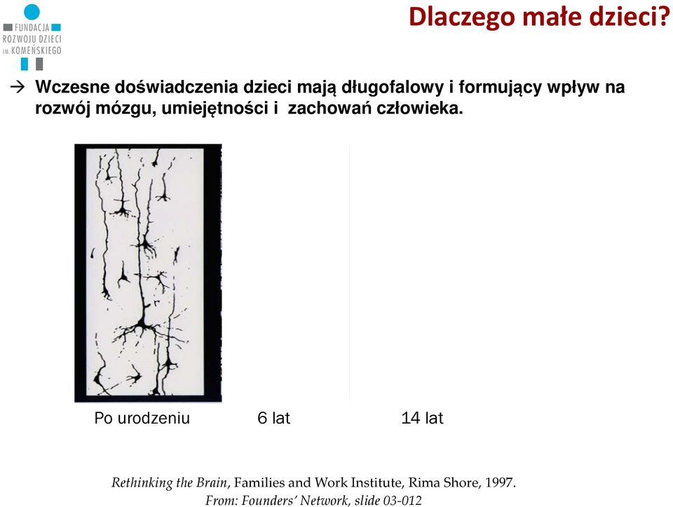 rozwój mózgu, umiejętności i zachowań człowieka.