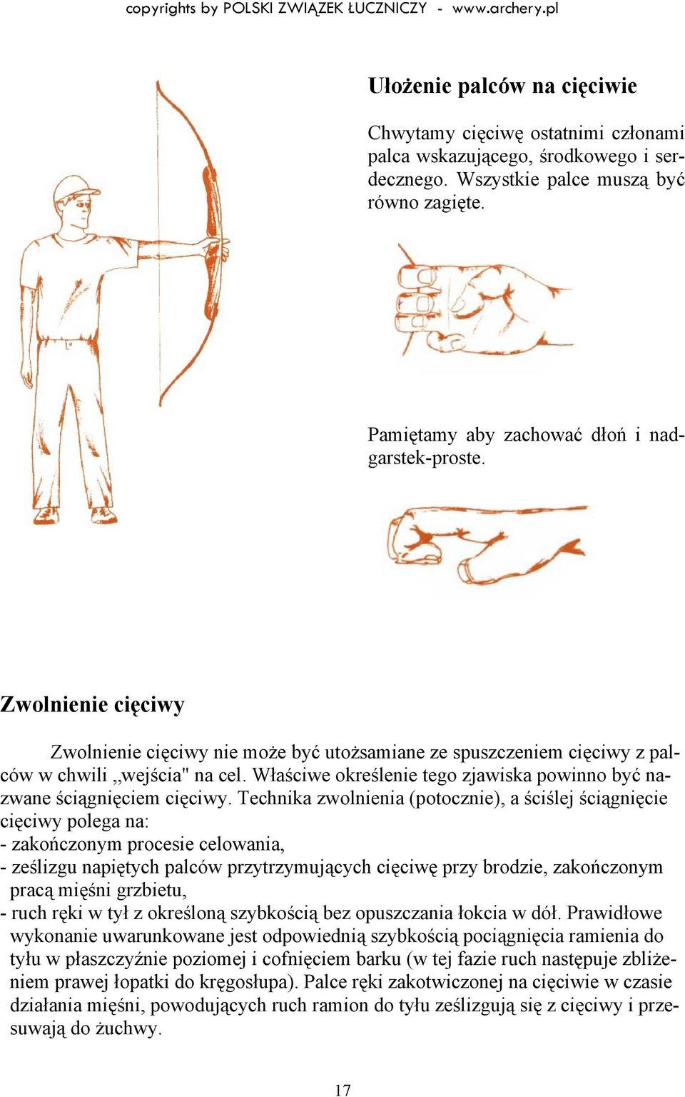 Technika zwolnienia (potocznie), a ściślej ściągnięcie cięciwy polega na: - zakończonym procesie celowania, - ześlizgu napiętych palców przytrzymujących cięciwę przy brodzie, zakończonym pracą mięśni