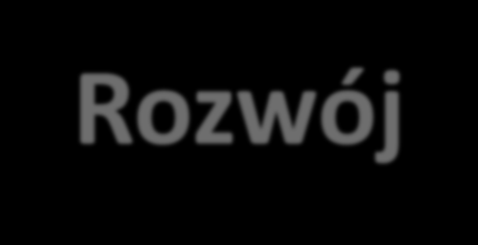 Inteligentny Rozwój Oś priorytetowa I: Wsparcie prowadzenia prac B+R przez przedsiębiorstwa Oś priorytetowa II: Wsparcie otoczenia i potencjału przedsiębiorstw do prowadzenia