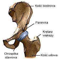 Węzły tarcia decydują o trwałości i niezawodności urządzeń.