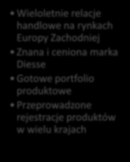 GRUPA DIESSE [aktywa] Zbudowanie organicznie podmiotu porównywalnego do Diesse oznaczałoby podjęcie wysokiego ryzyka, zainwestowanie kilkudziesięciu milionów euro i poświęcenie kilkunastu lat.