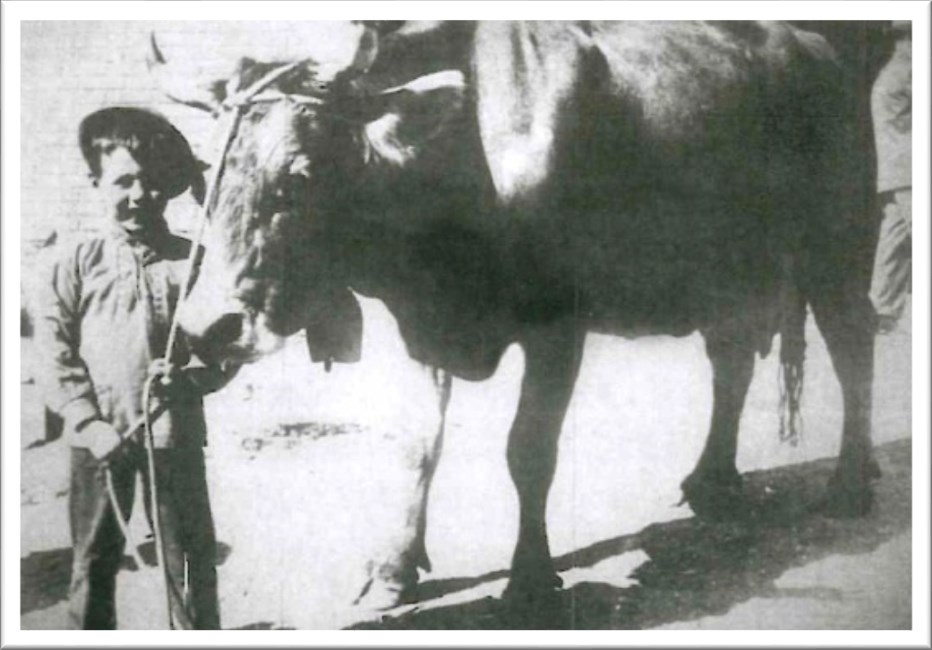 Piero Pini, zdjęcie