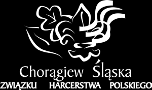 2016 Pielgrzymka to czas skupienia - wejścia w głąb siebie, wyciszenia, rozliczenia, zastanowienia się i pracy nad sobą, dlatego też w programie nie