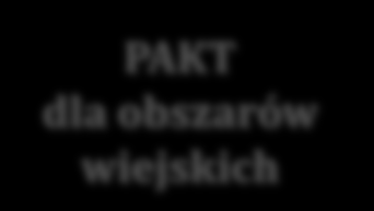 DOKUMENTY STRATEGICZNE O WSI I ROLNICTWIE PAKT dla obszarów wiejskich, Strategia dot.