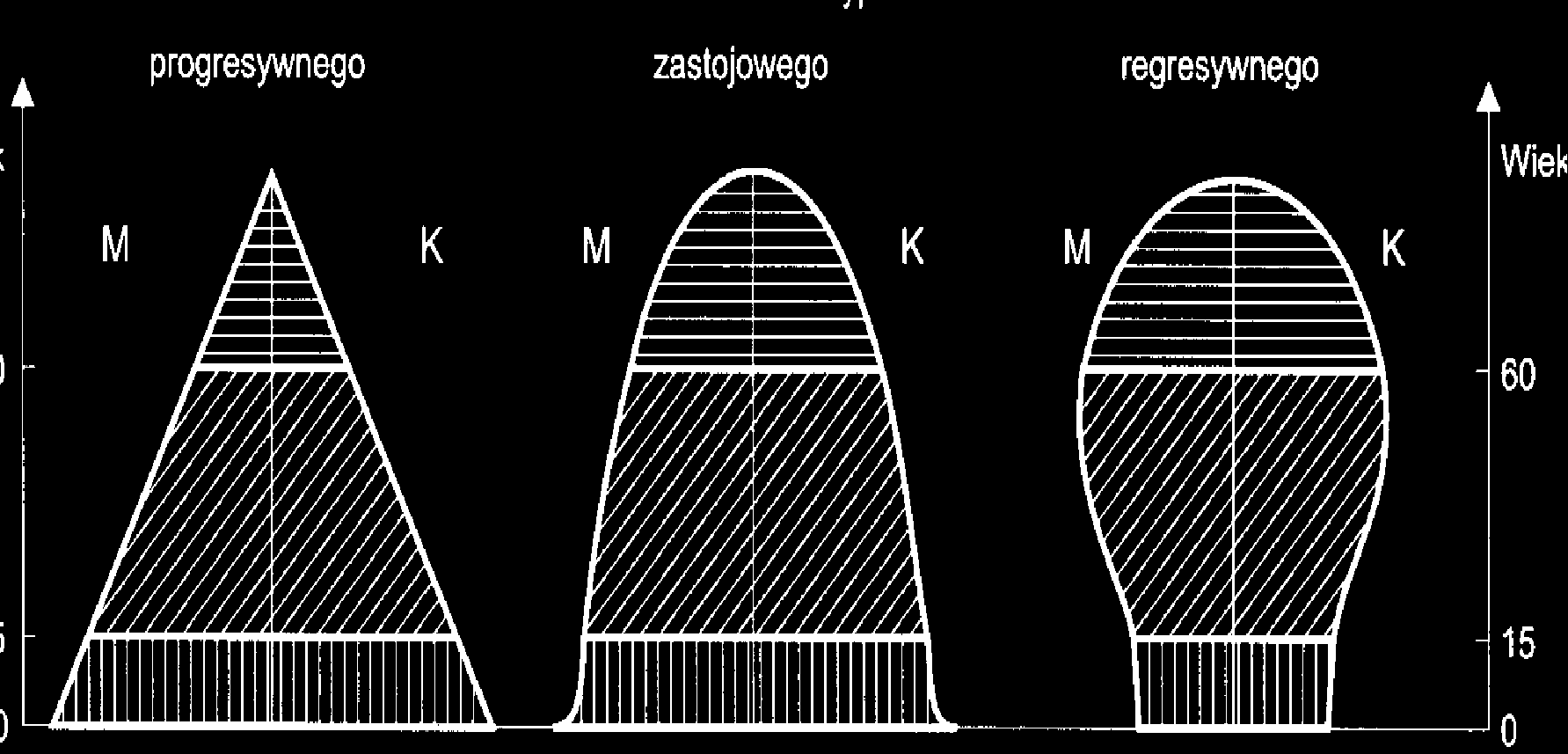 Typy struktur wieku ludności (G.