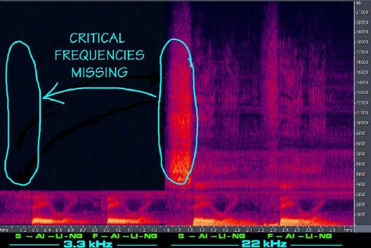 Kodowanie szerokopasmowe Pasmo >4 khz ma również znaczący wpływ na zrozumiałość (nie jest możliwe odróżnienie f od s dla sygnału wąskopasmowego, można pomylić głos matki i córki, trudno jest