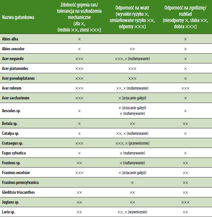 6. PRZEGLĄD GATUNKÓW DRZEW ALEJOWYCH. Tabela 4 Zestawienie cech istotnych dla oceny statyki drzew dla poszczególnych gatunków.