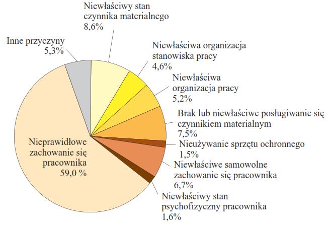 PRZYCZYNY WYPADKÓW PRZY PRACY Procentowy udział przyczyny wypadków przy pracy w Polsce w 2012 r.