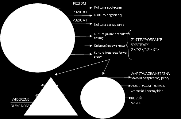 Miejsce kultury bezpieczeństwa pracy w kulturze organizacji i