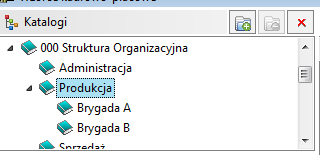 I dalej w lewej części katalogu 000 Struktura Organizacyjna