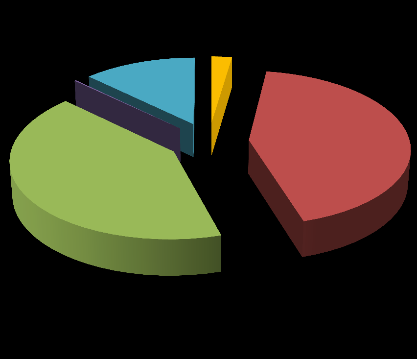 2% 0,2% 13% 42% 43% Obiekty publiczne Obiekty mieszkalne Transport Oświetlenie Usługi, handel, przemysł Rysunek 32 Udział poszczególnych grup odbiorców w całkowitym zużyciu energii końcowej w roku