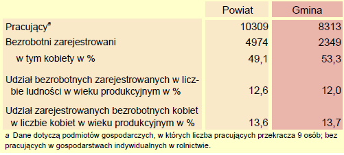 Wykres 1 Struktura mieszkańców z podziałem na grupy wiekowe 1200 1000 800 600 400 kobiety mężczyźni 200 0 0-6 7-15 16-24 25-34 35-44