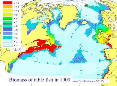 Stan Wielkość eksploatowanych połowów zasobów morskich