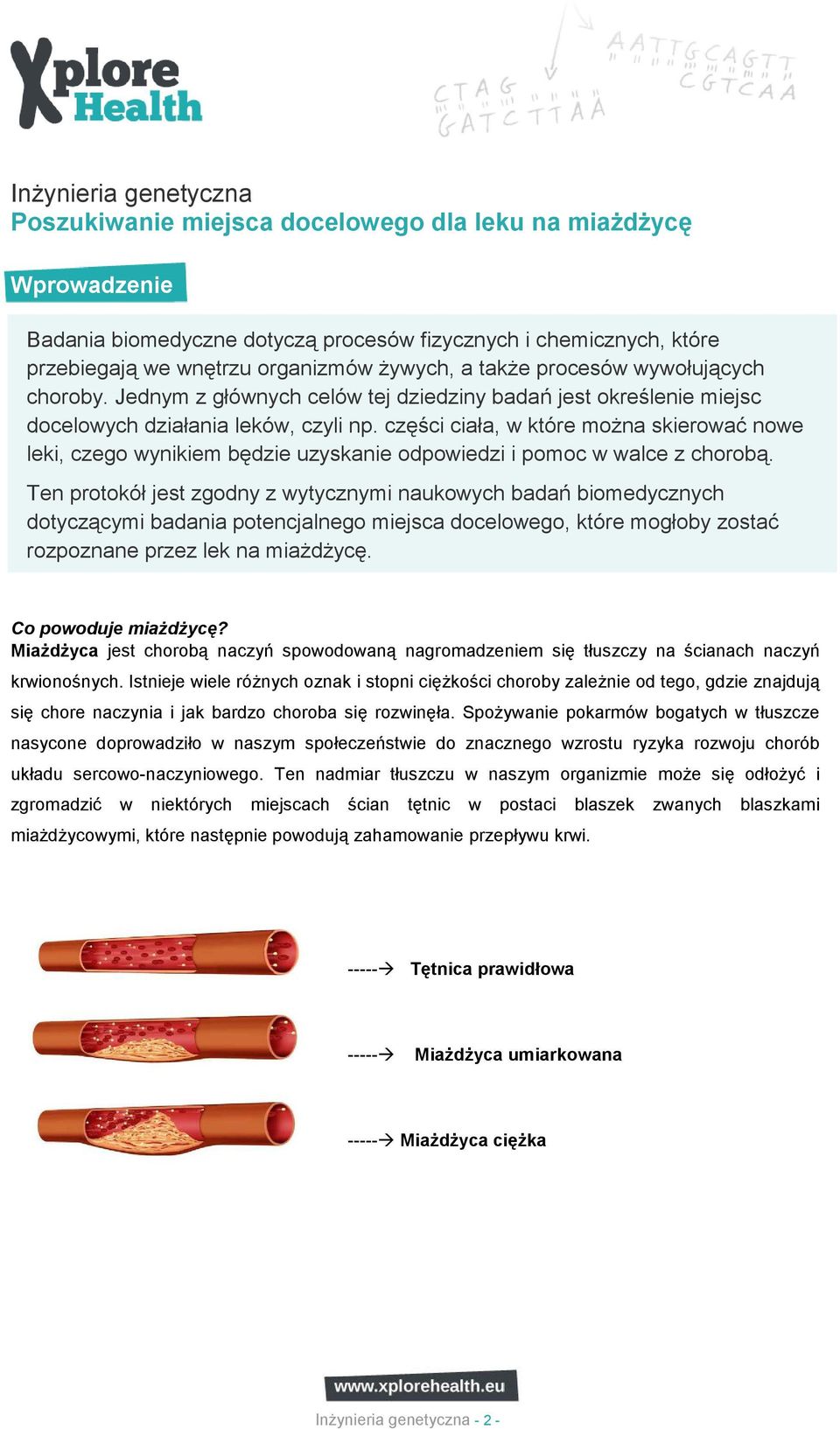 części ciała, w które moŝna skierować nowe leki, czego wynikiem będzie uzyskanie odpowiedzi i pomoc w walce z chorobą.