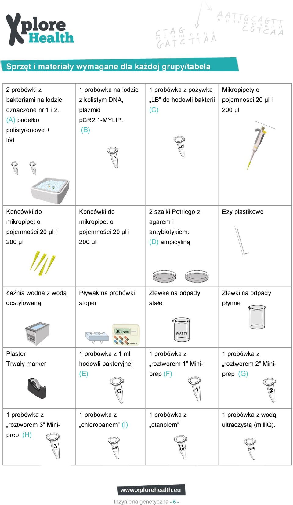 polistyrenowe + (B) lód Końcówki do Końcówki do 2 szalki Petriego z Ezy plastikowe mikropipet o mikropipet o agarem i pojemności 20 µl i pojemności 20 µl i antybiotykiem: 200 µl 200 µl (D) ampicyliną