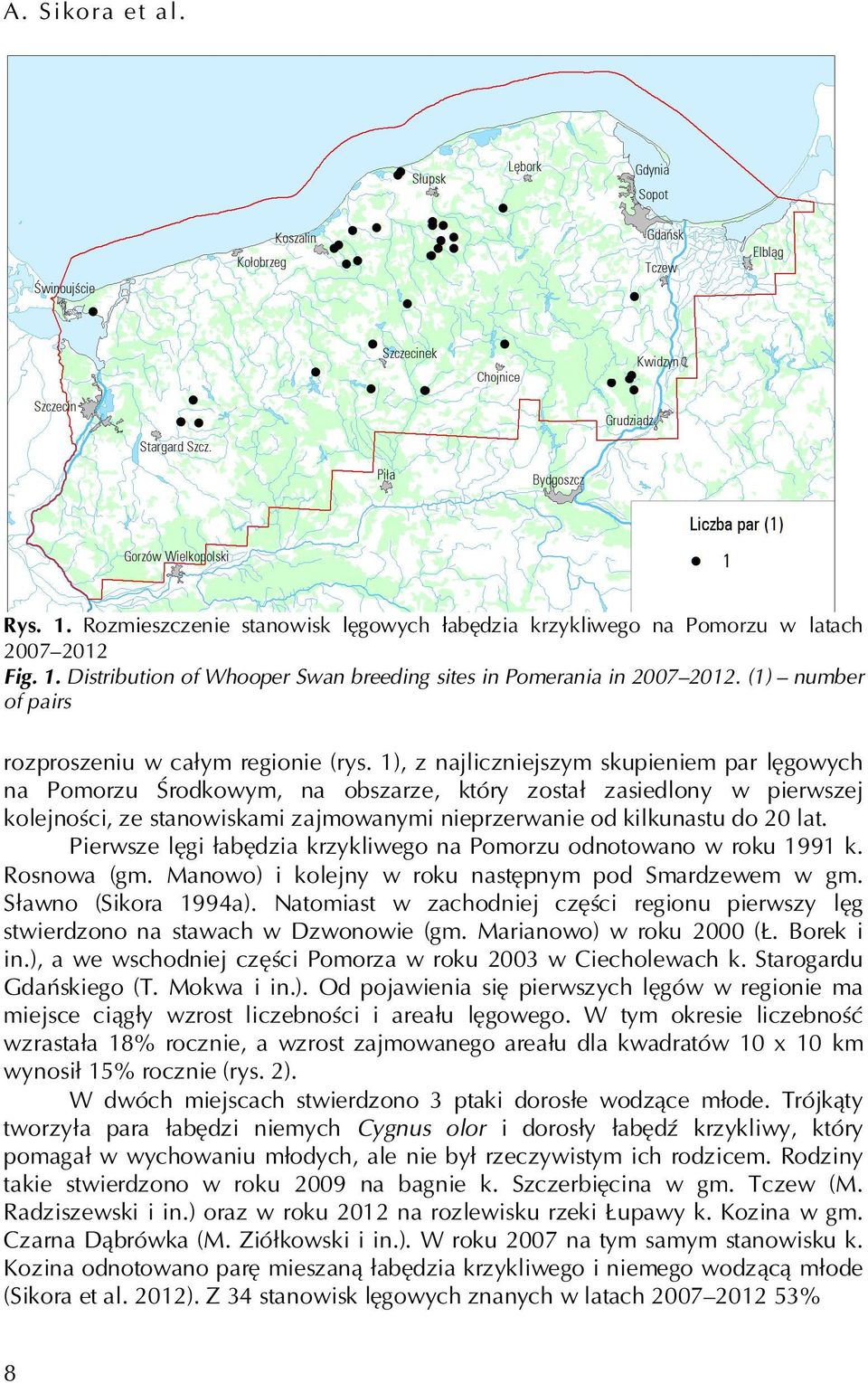 1), z najliczniejszym skupieniem par lęgowych na Pomorzu Środkowym, na obszarze, który został zasiedlony w pierwszej kolejności, ze stanowiskami zajmowanymi nieprzerwanie od kilkunastu do 20 lat.