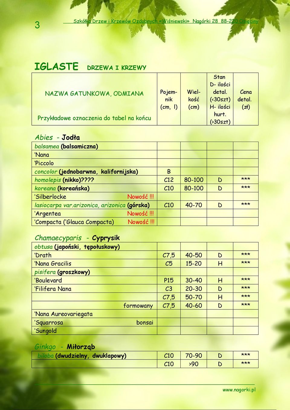 !! lasiocarpa var.arizonica, arizonica (górska) C10 40-70 D *** Argentea Nowość!!! Compacta ( Glauca Compacta) Nowość!