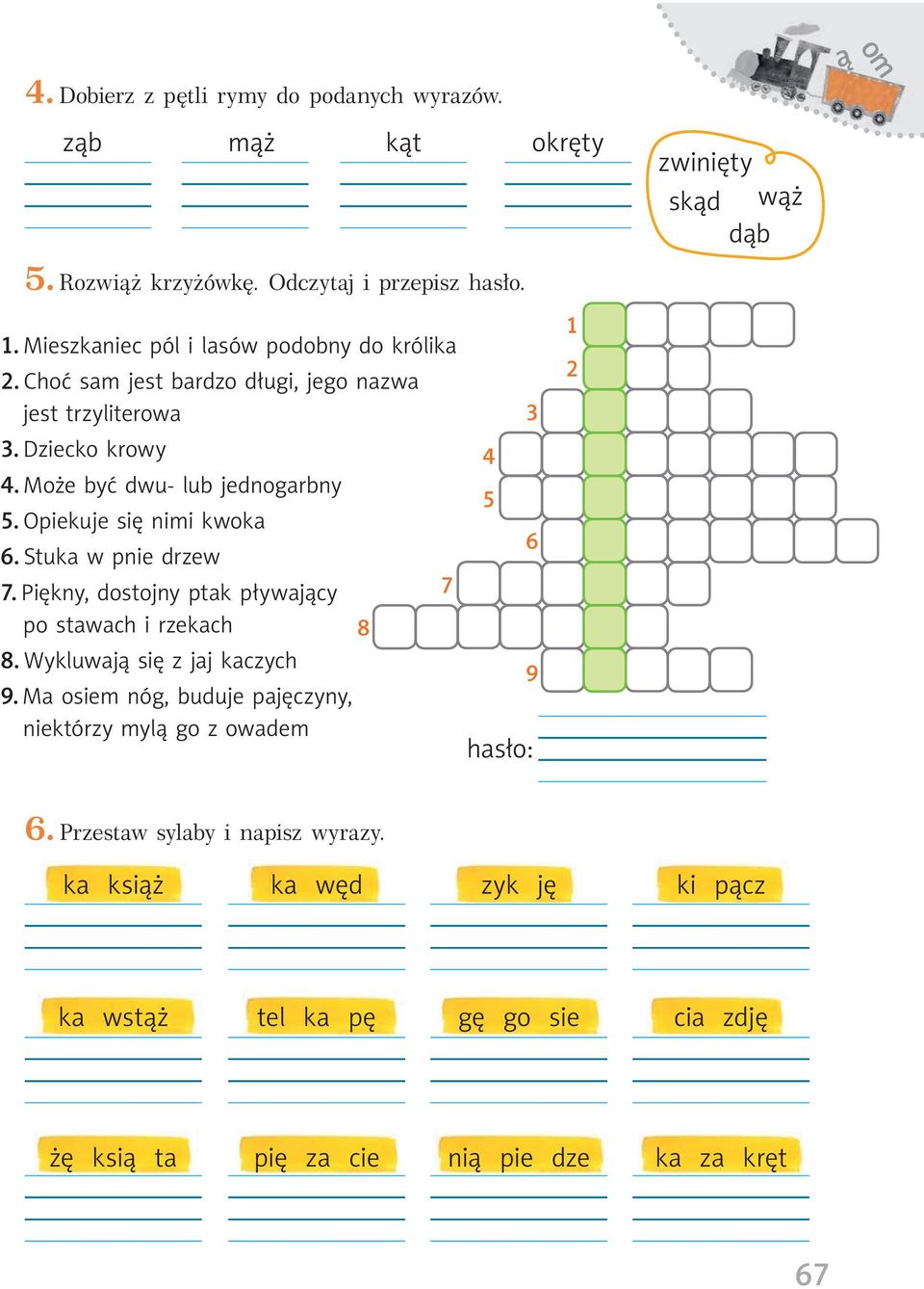 Opiekuje się nimi kwoka 6. Stuka w pnie drzew 7. Piękny, dostojny ptak pływający po stawach i rzekach 8. Wykluwają się z jaj kaczych 9.