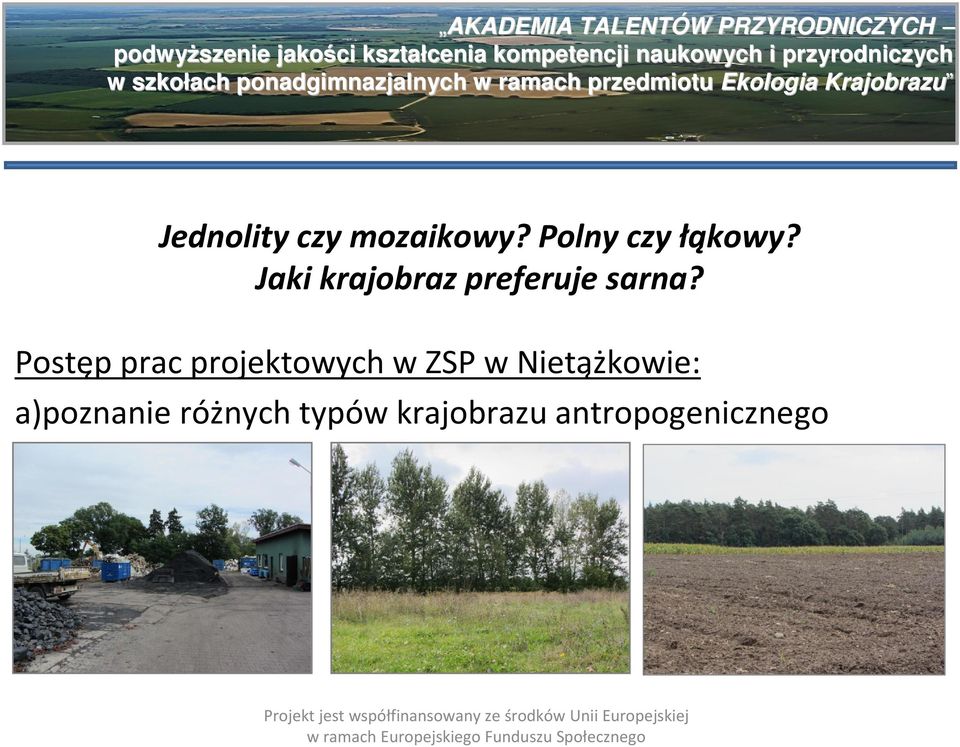 Postęp prac projektowych w ZSP w