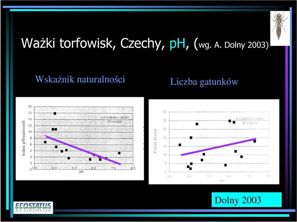 Dolny 2003) Wskaźnik