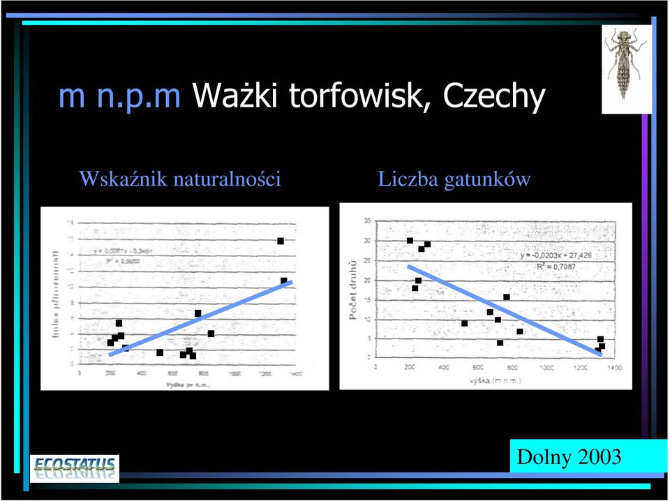 Czechy Wskaźnik