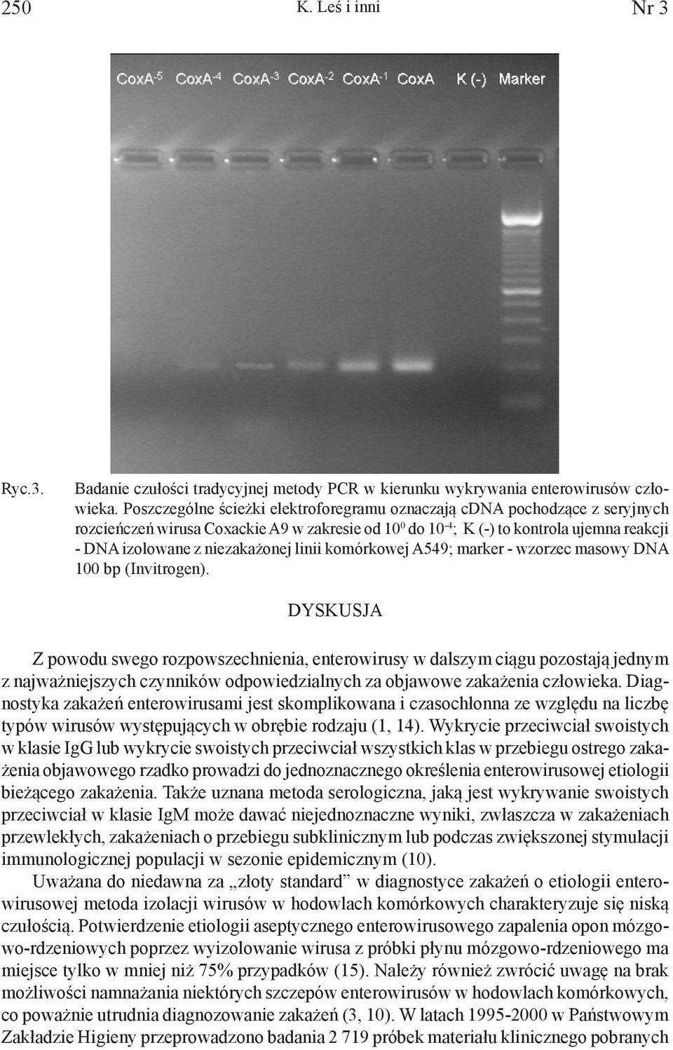 linii komórkowej A549; marker - wzorzec masowy DNA 100 bp (Invitrogen).