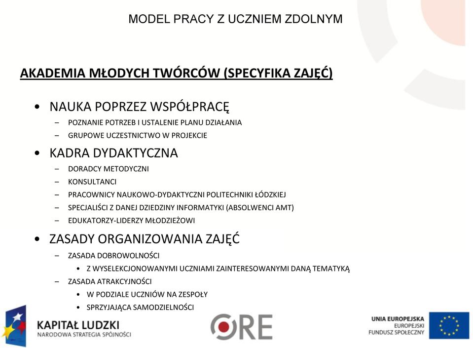 SPECJALIŚCI Z DANEJ DZIEDZINY INFORMATYKI (ABSOLWENCI AMT) EDUKATORZY-LIDERZY MŁODZIEŻOWI ZASADY ORGANIZOWANIA ZAJĘĆ ZASADA