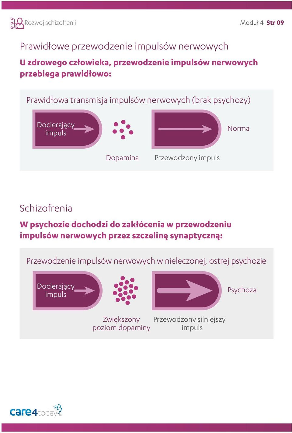 Przewodzony impuls Schizofrenia W psychozie dochodzi do zakłócenia w przewodzeniu impulsów nerwowych przez szczelinę synaptyczną: