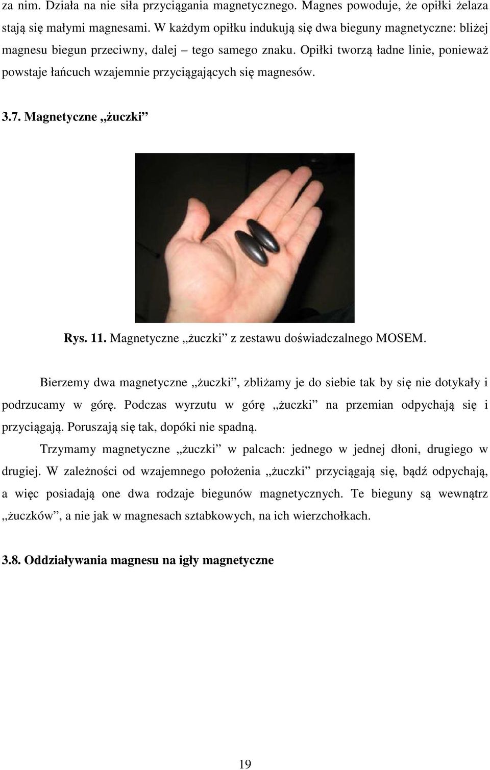 Opiłki tworzą ładne linie, ponieważ powstaje łańcuch wzajemnie przyciągających się magnesów. 3.7. Magnetyczne żuczki Rys. 11. Magnetyczne żuczki z zestawu doświadczalnego MOSEM.