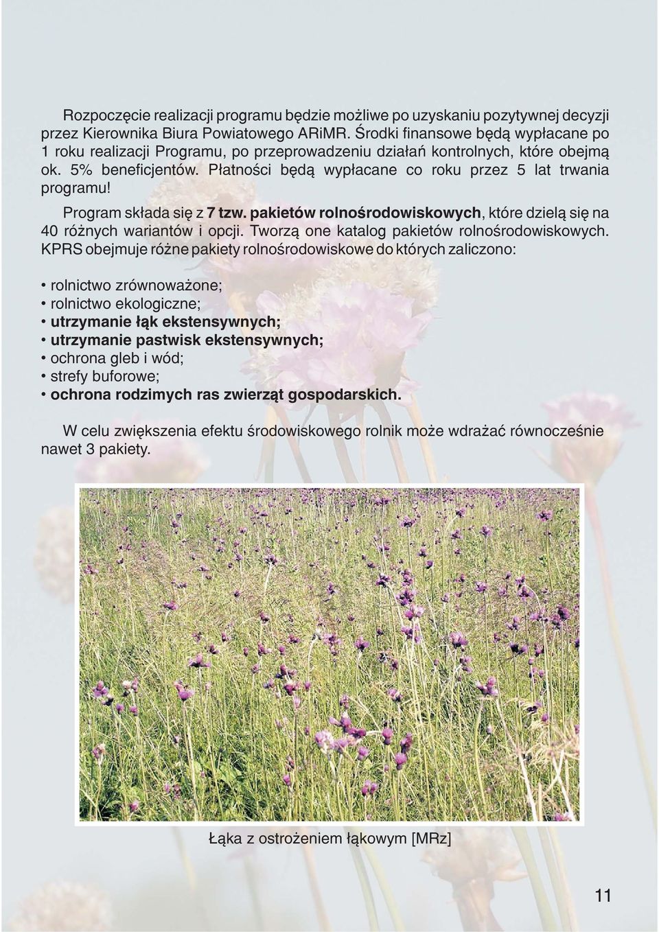 Program sk³ada siê z 7 tzw. pakietów rolnoœrodowiskowych, które dziel¹ siê na 40 ró nych wariantów i opcji. Tworz¹ one katalog pakietów rolnoœrodowiskowych.