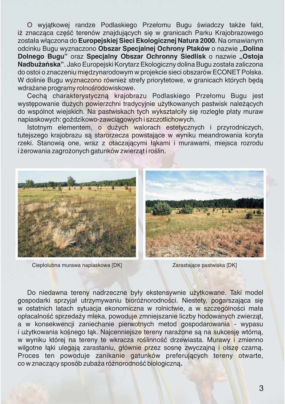 Jako Europejski Korytarz Ekologiczny dolina Bugu zosta³a zaliczona do ostoi o znaczeniu miêdzynarodowym w projekcie sieci obszarów ECONET Polska.