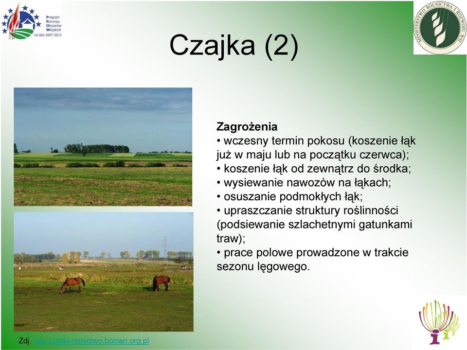 podmokłych łąk; upraszczanie struktury roślinności (podsiewanie szlachetnymi gatunkami